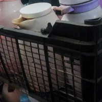 فلاکس چای