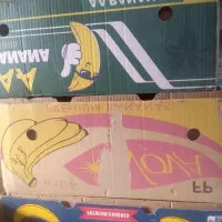 کارتن موزجفتی 20