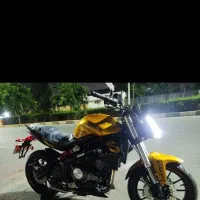 بنلی جفت ۱۴۰۳ خشک