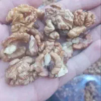 گردو|خوردنی و آشامیدنی|الشتر, |دیوار