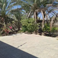 خونه اجازه کلرود|اجارهٔ خانه و ویلا|جیرفت, |دیوار