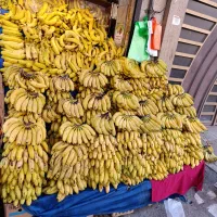 به چند نیرو جوان جهت کار در میوه فروشی نیازمندیم