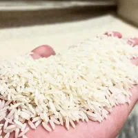 پخش برنج ایرانی
