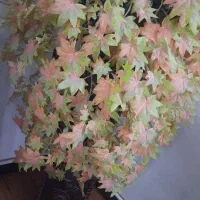گل تزئینی|گل مصنوعی|کرج, حصارک بالا|دیوار