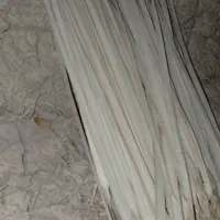 پیش سفید خشک شده دل قاب بلند