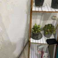 استند گل|کتابخانه، شلف، قفسه‌های دیواری|آستانه اشرفیه, |دیوار