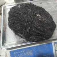 بن داوارحدود ۲۵ کیلو ...سیاچاه در