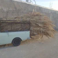 برای درخت های کوچیک  برای سرما