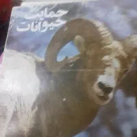 مجله شکار طبیعت و حمات حیوانات|مجلات|تهران, آبشار|دیوار