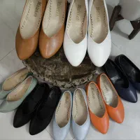 کالج های رنگی