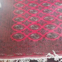 فروش فرش دست بافت پشم|فرش|رضویه, |دیوار