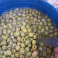 محصولات اورگانیک|خوردنی و آشامیدنی|باغستان, |دیوار