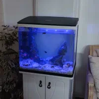 نصب و سرویس انواع اکواریوم