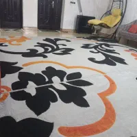 فروش دو عدد گلیم ۱۲متری|گلیم، جاجیم، گبه|مینودشت, |دیوار