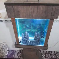 اکواریوم باماهی لجن خوار طلایی و یه سری لوازم|ماهی|اسلامشهر, شهرک قائمیه|دیوار