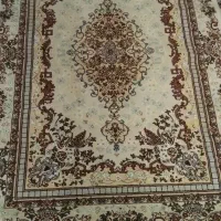 قالی و مبل|فرش|گرگان, |دیوار