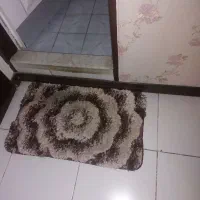 قالیچه و۳عدد پادری|پادری|تهران, شهید اسدی|دیوار