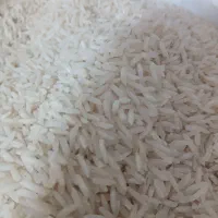 طارم  معطر و خوش پخت مجلسی|خوردنی و آشامیدنی|قم, بنیاد|دیوار