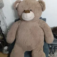 خرس شاسخین ۱۷۰ سانتی جنس خارجی