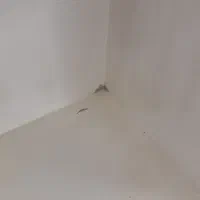 بوفه، جاکفشی|جاکفشی، کمد، دراور|زابل, |دیوار