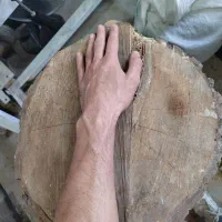 تنه چوب گردو و سنجد خشک مناسب ظروف چوبی|صنایع دستی و سایر لوازم تزئینی|تبریز, |دیوار