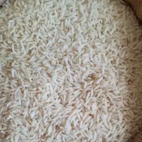 برنج محلی بروجرد و دورود درجه یک سالم و نیم دانه