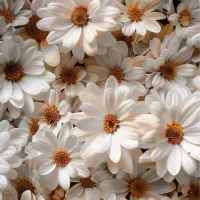 نیاز به سرمایه گذار