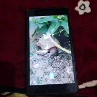 تبلت|تبلت|نورآباد ممسنی, |دیوار