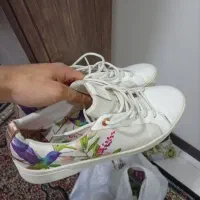 کتونی مردانع