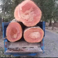 خرید انواع چوب کلی و جزئی به بالاترین قیمت|خدمات باغبانی و درختکاری|نیشابور, مازول|دیوار