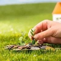 زمین-بر-اصلی-کمربندی-لاهیجان-255متری-با-بر-25متر