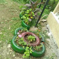 ویلا لاکچری جوانمرد|اجارهٔ کوتاه‌مدت ویلا و باغ|ماسال, |دیوار