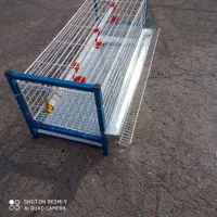 قفس مخصوص بلدرچین و کبوتر ومرغ|لوازم جانبی حیوانات|شنبه و طسوج, |دیوار