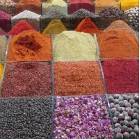 نیروی کار خانم