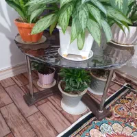 جلو مبلی و۴تاعسلیوزیر تلویزیون