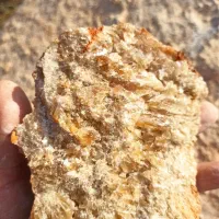 راهنمایی کنید