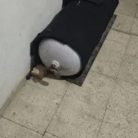 وسایل ماشین|قطعات یدکی و لوازم جانبی|صالح آباد, |دیوار