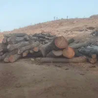 چوب بری وچوب فروشی سید حسین|عمدهفروشی|ملکآباد, |دیوار