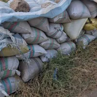 کاه یونجه|خدمات باغبانی و درختکاری|خوی, |دیوار