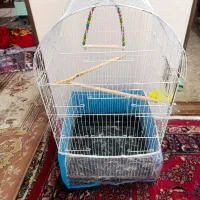 قفس پرنده