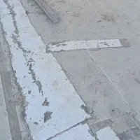 دمسفید|پرنده|سوسنگرد, |دیوار