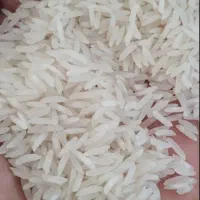 برنج گیلان لنگرود