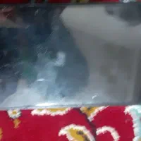 موبایل شیامی c65 پوکو