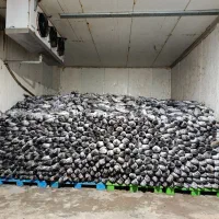 فروش و ارسال ماهی به تمام نقاط ایران