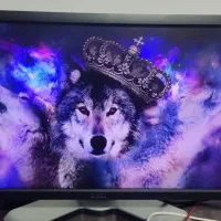 مانیتور فول اچ دی Dell p2212hb