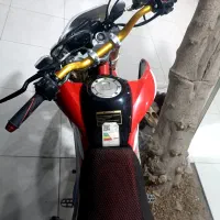 تریل برمودا