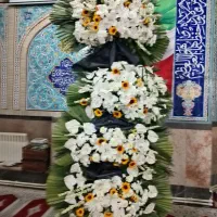 گل ختم|گل و گیاه طبیعی|تهران, هفده شهریور|دیوار