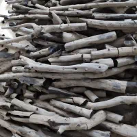 زغال مورد قلم کارتنی زغال کبابی