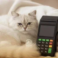 نیروی ثبت وتخصیص ،تعمیرات ،فروش شرکت کارتخوان