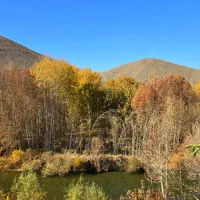 اجاره ویلا باغ بهادران